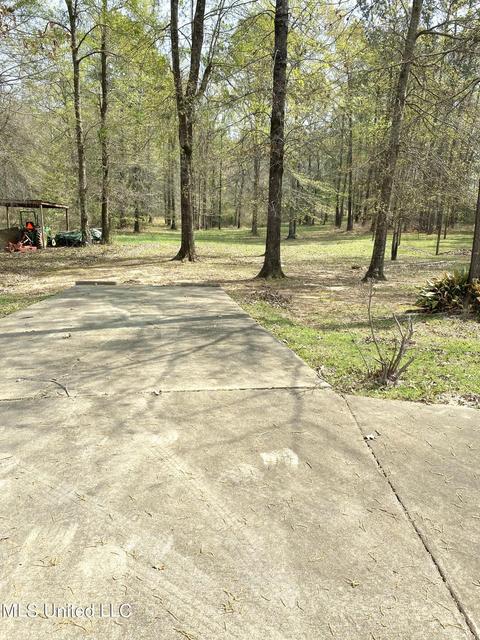 20140 Midway Rd, Terry, MS 39170 photo 6