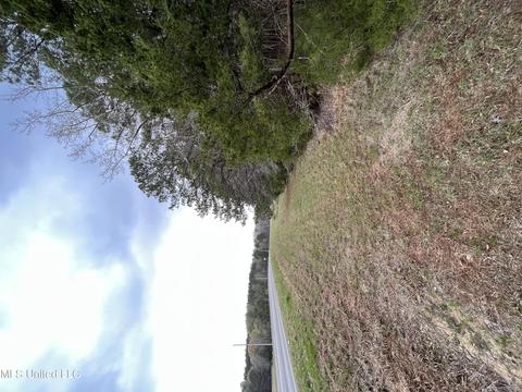 106 Pat Cobb Rd, Canton, MS 39046 photo 1