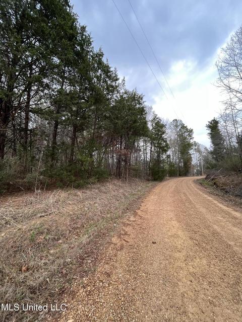 106 Pat Cobb Rd, Canton, MS 39046 photo 2