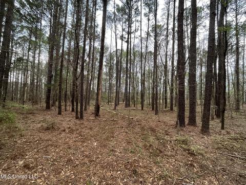 106 Pat Cobb Rd, Canton, MS 39046 photo 4