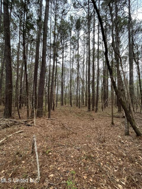 106 Pat Cobb Rd, Canton, MS 39046 photo 3