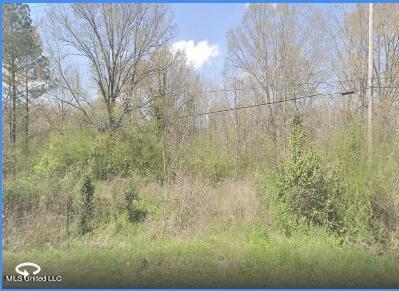 4003 Terry Rd, Jackson, MS 39212 photo 1