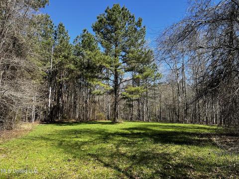 Garrigues Road, Louisville, MS 39339