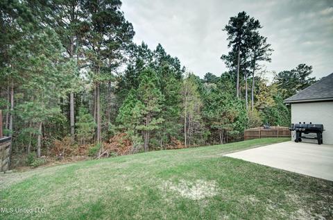 117 Long Leaf Way, Flowood, MS 39232 photo 27