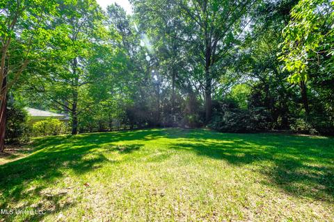 1051 Buckley Dr, Jackson, MS 39206 photo 36