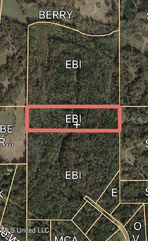 80 Pine Ridge Dr, Pope, MS 38658