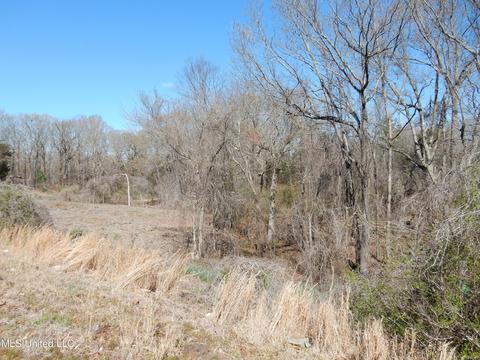 lot1 Looxahoma Tyro Rd, Senatobia, MS 38668