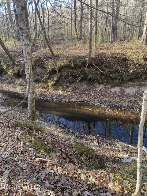 Poagville Road, Coldwater, MS 38618