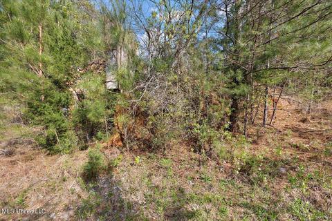 503 North St, Brandon, MS 39042 photo 17