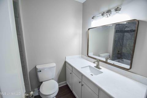 263 Lisa Cir, Madison, MS 39110 photo 13