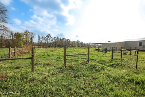 2169 Tannertown Rd, Lucedale, MS 39452 photo 62
