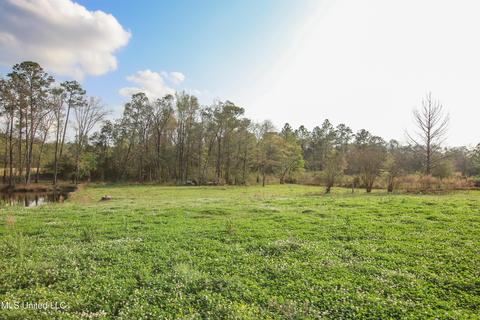 2169 Tannertown Rd, Lucedale, MS 39452 photo 66