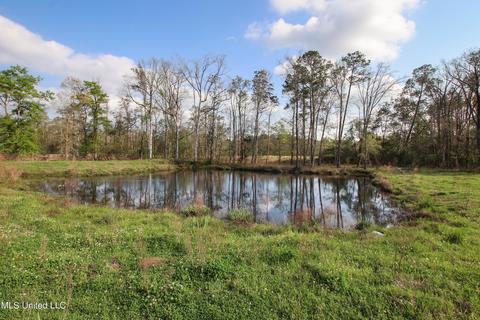 2169 Tannertown Rd, Lucedale, MS 39452 photo 3