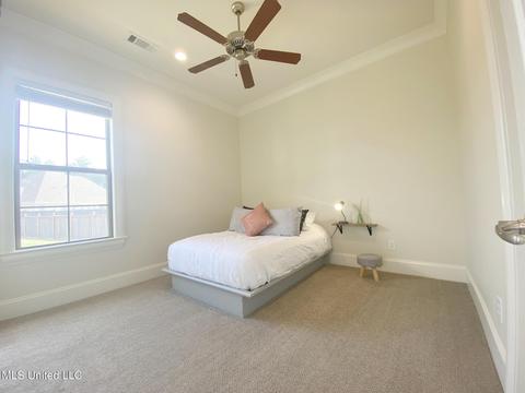 508 Forest Glen Ln, Brandon, MS 39047 photo 64