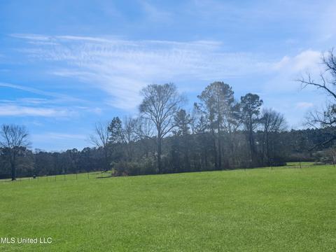 986 Airport Rd, Magee, MS 39111 photo 33