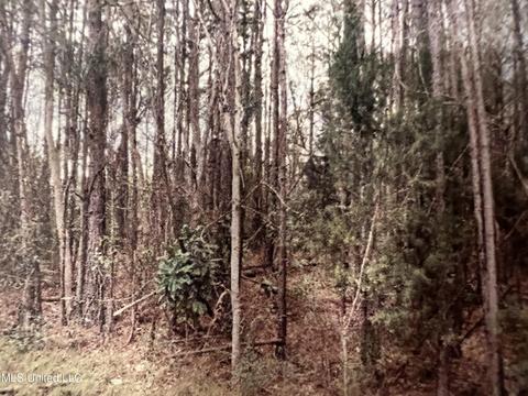 tbd Neshoba St, Biloxi, MS 39532