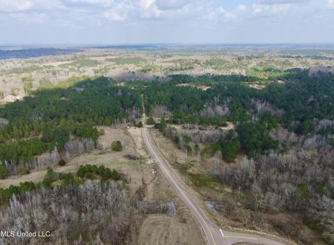 Paschal Hill Road, Brandon, MS 39042 photo 2