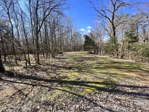 Stable Road, Hernando, MS 38632