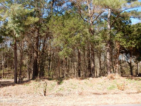 lot4 Thyatira Tyro Rd, Senatobia, MS 38668