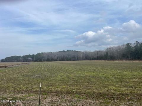 1726 Eddie Willis Dr, Gore Springs, MS 38929