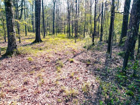 Gabe Holcomb, Brandon, MS 39042 photo 16