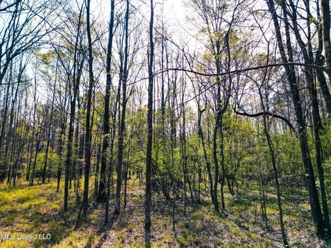 Gabe Holcomb, Brandon, MS 39042 photo 19