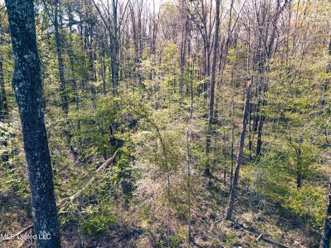Gabe Holcomb, Brandon, MS 39042 photo 12