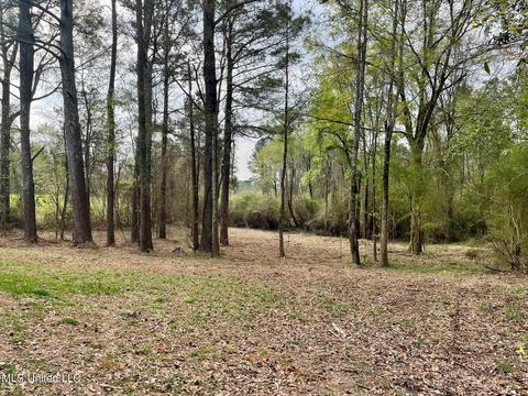 140 Cottonwood Dr, Mize, MS 39116 photo 21