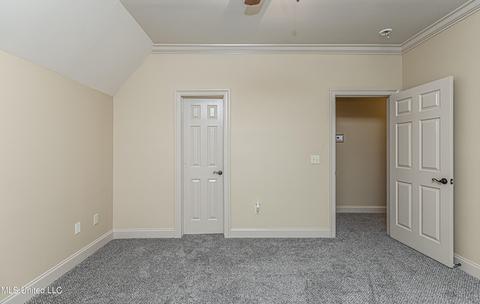 105 Wind Dance Dr, Madison, MS 39110 photo 45