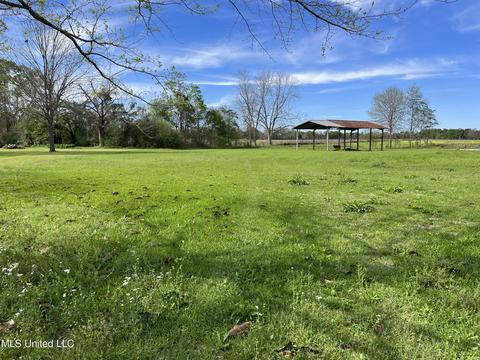 157 Beaver Creek Rd, Lucedale, MS 39452 photo 39