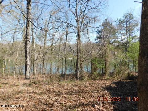 1186 S Thunderbird Dr, Hernando, MS 38632 photo 14
