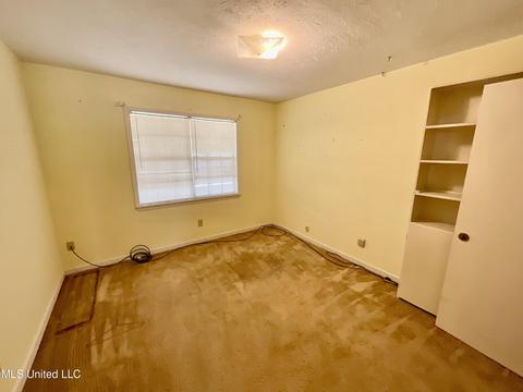 278 Sundown Trl, Jackson, MS 39212 photo 10