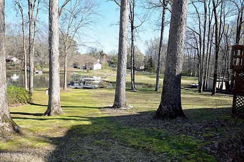 527 N Thunderbird Dr, Hernando, MS 38632 photo 23