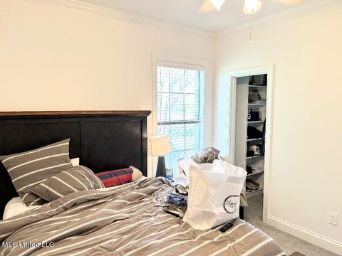 501 Carlyle Ct, Madison, MS 39110 photo 14
