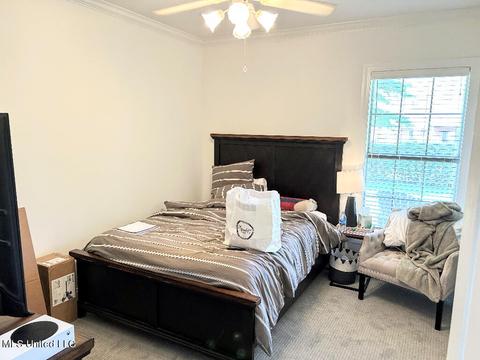 501 Carlyle Ct, Madison, MS 39110 photo 13