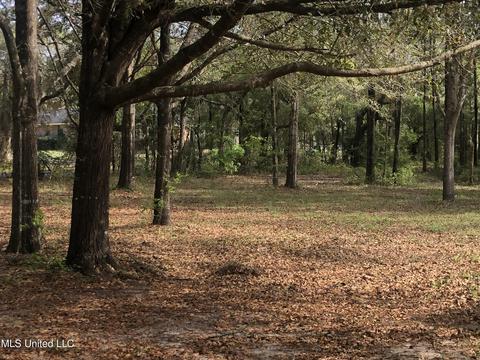 13929 Constitution Rd, Moss Point, MS 39562 photo 51