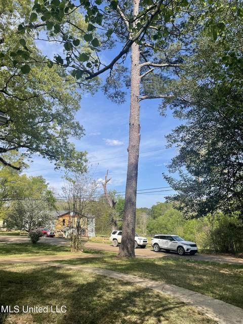 1201 Rosehill Cir, Jackson, MS 39202 photo 27