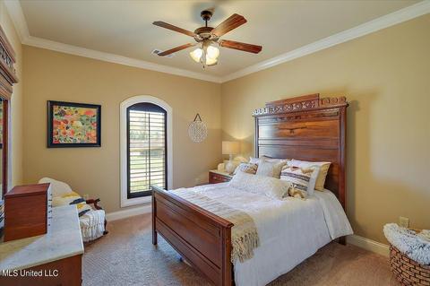 106 Pinnacle Cir, Brandon, MS 39047 photo 33