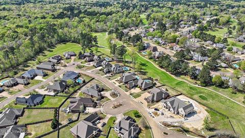 106 Pinnacle Cir, Brandon, MS 39047 photo 51
