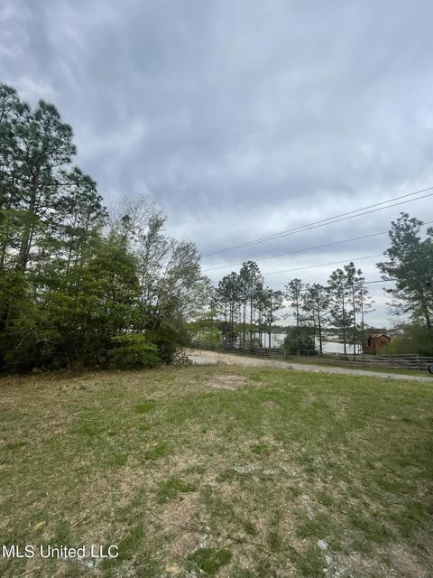19408 E Riverline Dr, Saucier, MS 39574 photo 29