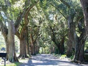 5313 Griffin, Moss Point, MS 39563 photo 69