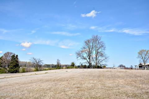 4388 Skyline Dr, Hernando, MS 38632 photo 47