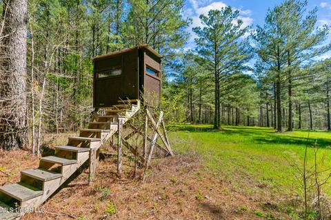 1275 Robinson Rd, Canton, MS 39046 photo 32