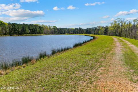 1275 Robinson Rd, Canton, MS 39046 photo 47