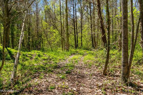 1275 Robinson Rd, Canton, MS 39046 photo 23