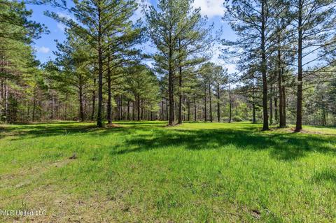 1275 Robinson Rd, Canton, MS 39046 photo 30