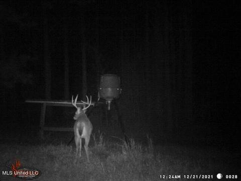 1275 Robinson Rd, Canton, MS 39046 photo 97