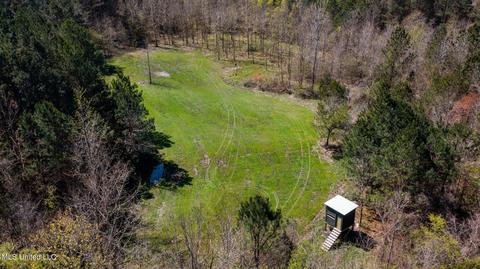 1275 Robinson Rd, Canton, MS 39046 photo 64