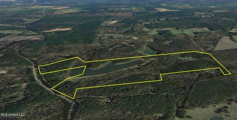 1275 Robinson Rd, Canton, MS 39046 photo 94