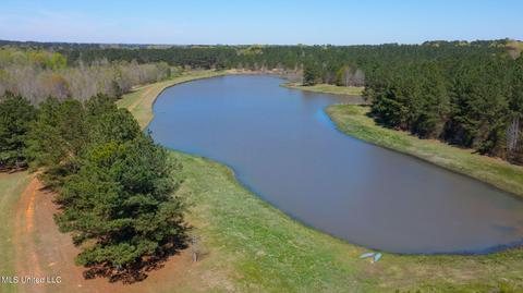 1275 Robinson Rd, Canton, MS 39046 photo 1